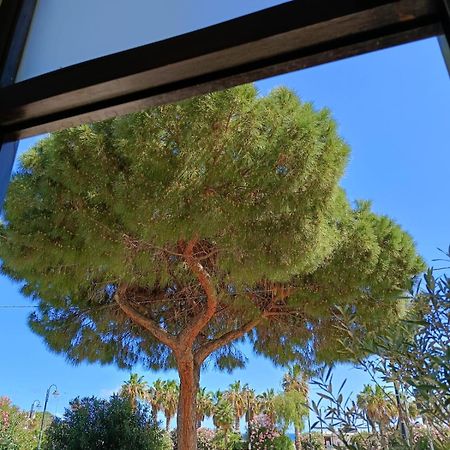 Bed and Breakfast Da Cappellini Isola delle Femmine Exterior foto