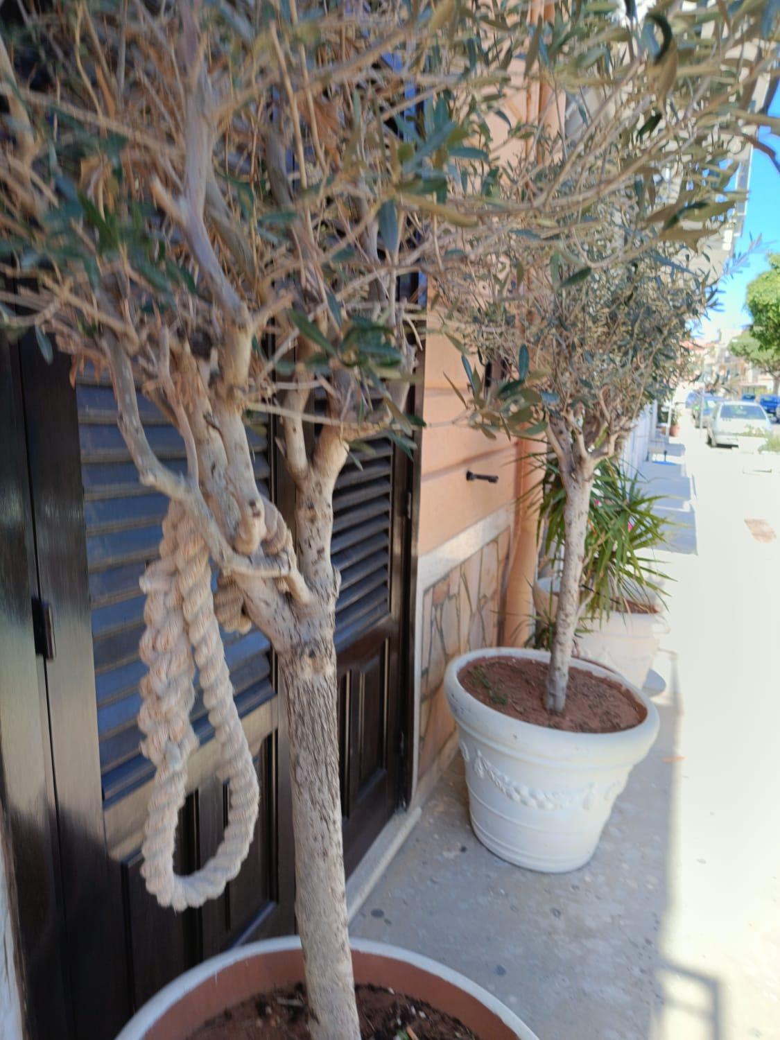 Bed and Breakfast Da Cappellini Isola delle Femmine Exterior foto