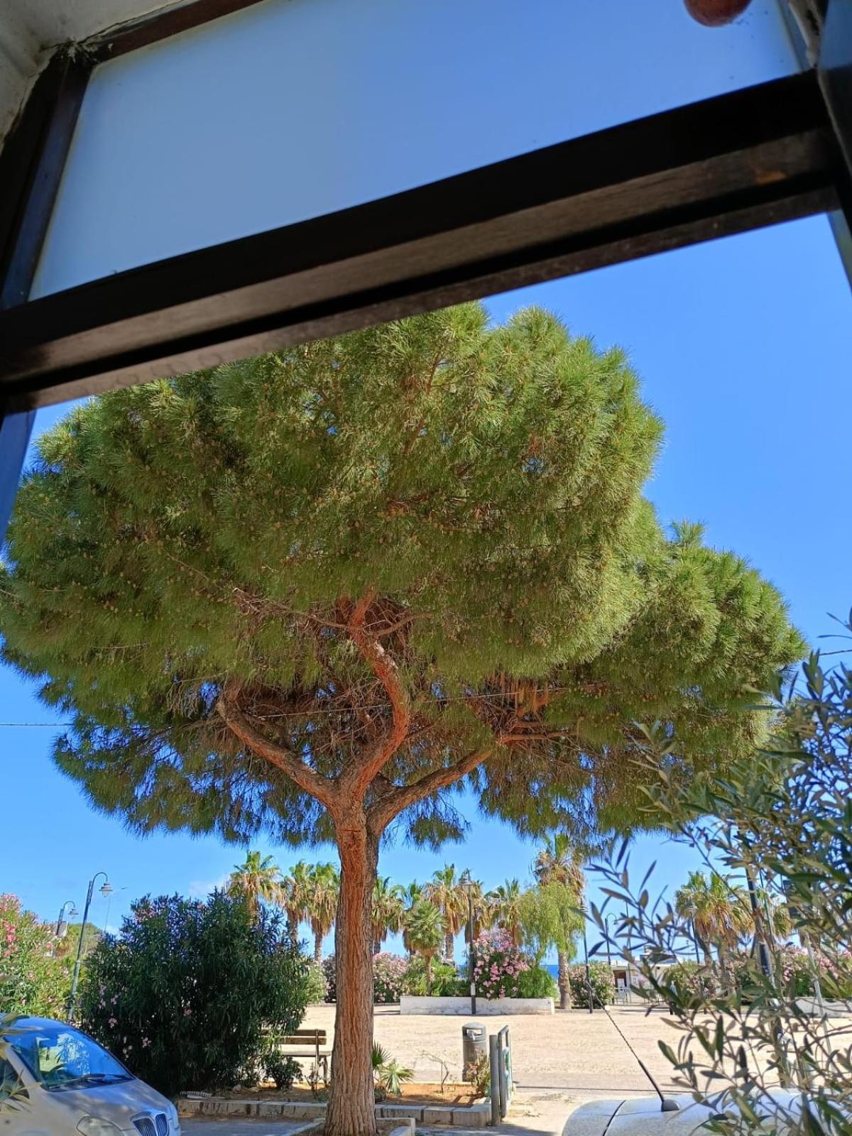 Bed and Breakfast Da Cappellini Isola delle Femmine Exterior foto